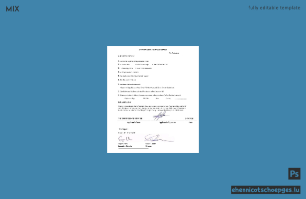 Beispielansicht des Schweizer Banque Heritage Know Your Client (KYC)-Antragsformulars